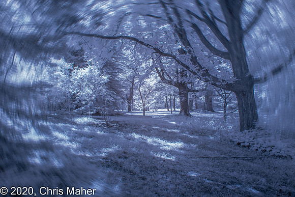 073-Tyler in Infrared