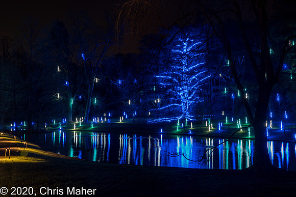 097-A Longwood Christmas