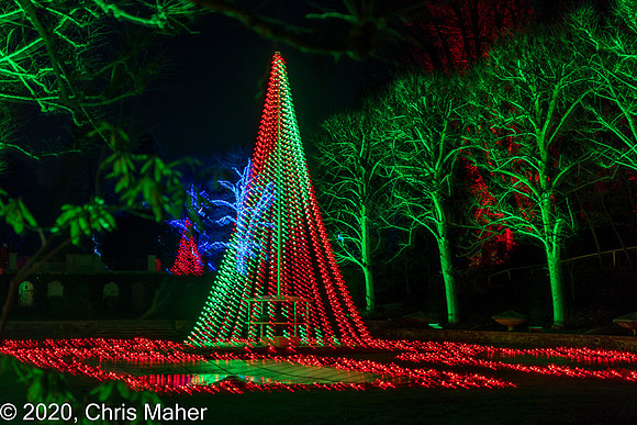098-Italian Water Garden Light Tree