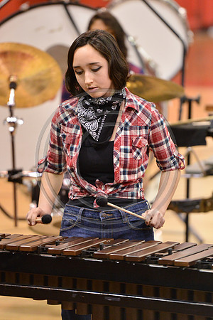Woodbridge Percussion-404