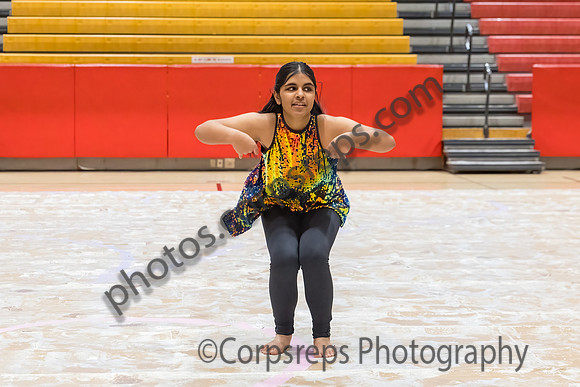 N-8 Winterguard Novice_250201_Hillsborough HS-JB00014