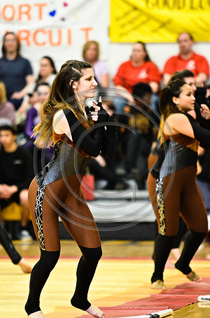 Triton Regional Guard-1007
