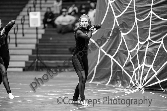 Hopewell Valley Guard_250208_Council Rock South-02373