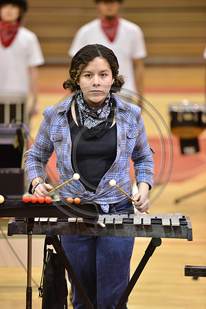 Woodbridge Percussion-420