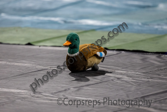 East Brunswick Guard_240421_CURE Arena-JB00001