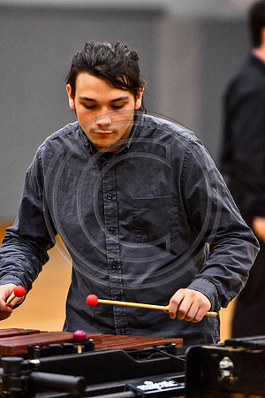 Walt Whitman Percussion_190331_Fair Lawn-5037