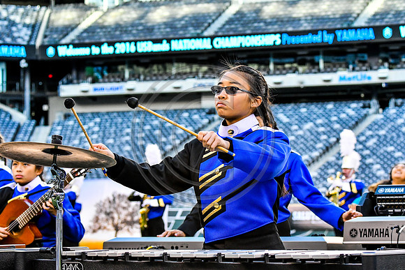 Loudoun County_161112_MetLife-7341