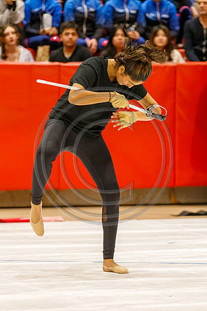 Hillsborough_Guard_230204_Hillsborough-JB03289