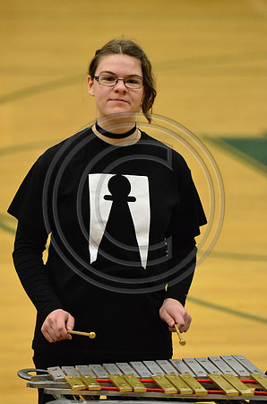 Springfield Drumline-993