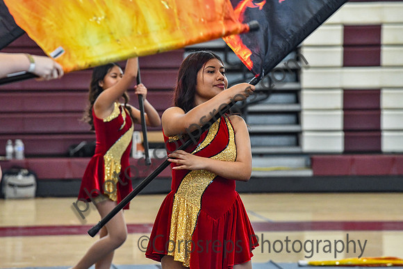 Arcadia Guard_250329_Abington-DJK01135