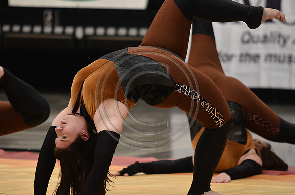 Triton Regional Guard-601