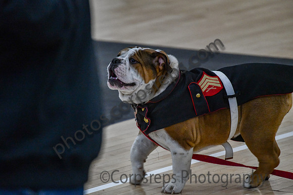 Gym Photo_250215_Perkiomen Valley-DJK00007
