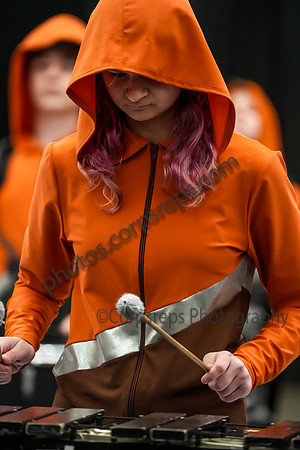 Darkhorse Percussion_250501_Wildwood-mg00189
