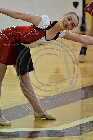 Rhythm in Motion A Dance-285