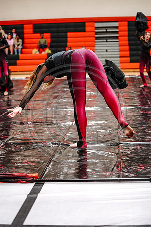 Appoquinimink Maroon Guard_190504_Wildwood-7307746