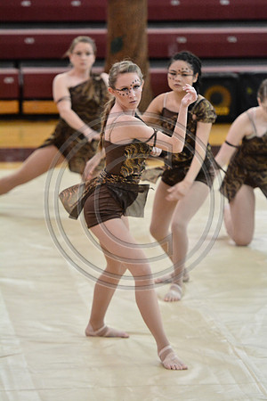 Rhythm in Motion Open Dance-316