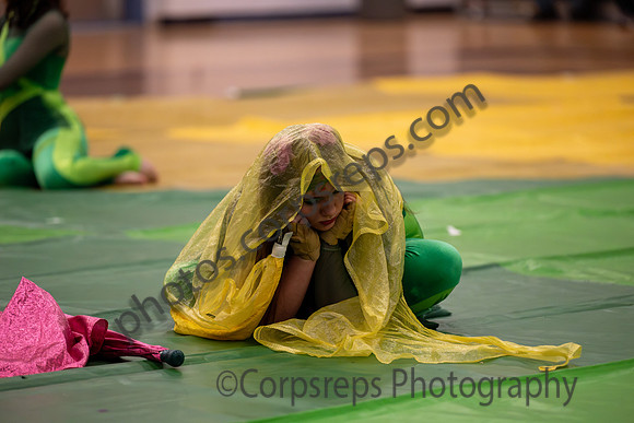 Timber Creek Guard-001