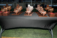 Awards_241109_Austin-02498