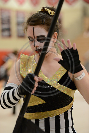 Bloomfield Guard-534