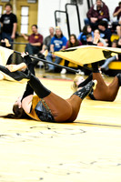 Triton Regional Guard-1020