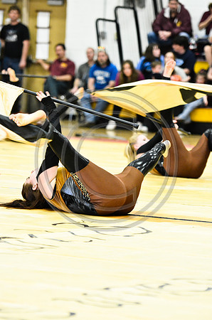 Triton Regional Guard-1020