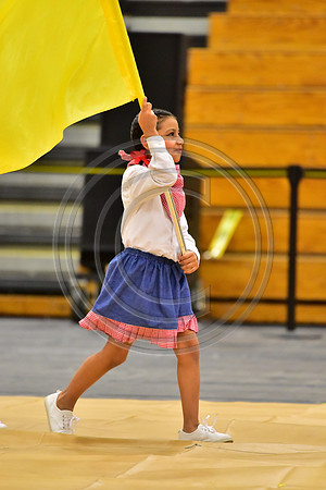 Pegasus Too JR Guard-147