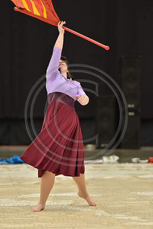 CoMotion A Guard-1106
