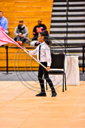Pegasus Too JR Guard-018