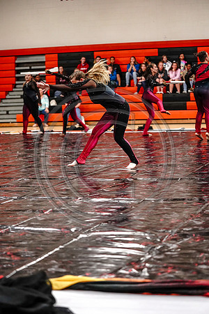 Appoquinimink Maroon Guard_190504_Wildwood-7307787