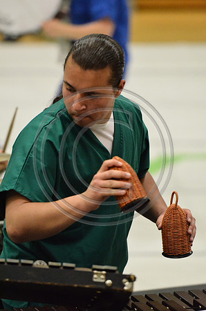 Cumberland Regional Drumline-666