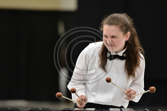 Triton Regional Percussion-192