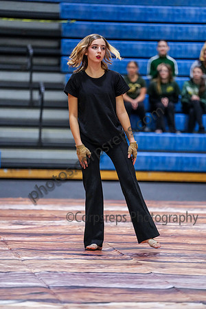 Brick Memorial Guard_250125_Spring-Ford-01393