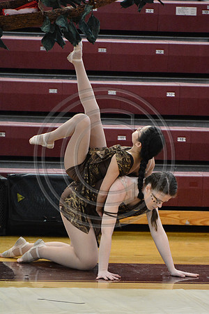 Rhythm in Motion Open Dance-332