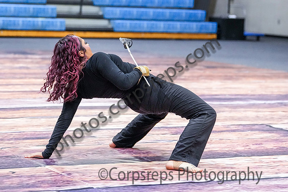 Brick Memorial Guard_250125_Spring-Ford-01413