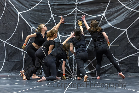 Hopewell Valley Central Guard_250201_Hillsborough HS-JB00046