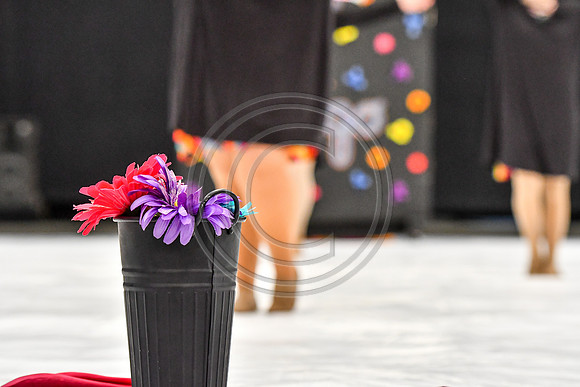 Haven Performing Arts Twirlers_180503_Wildwood-3452