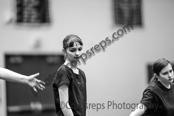 Emmaus Guard_250208_Council Rock South-00998