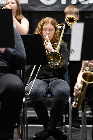 Southern Tioga Jazz_250502_Wildwood-JB00002