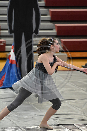 Bald Eagle Twirlers-476