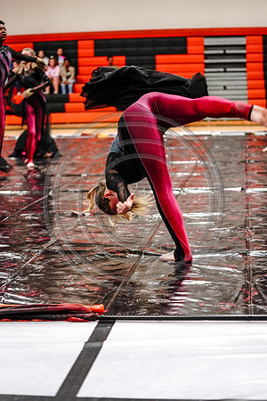 Appoquinimink Maroon Guard_190504_Wildwood-7307745