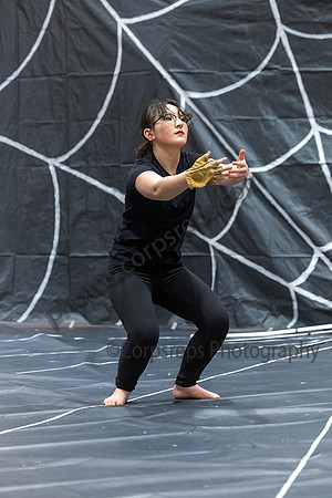 Hopewell Valley Central Guard_250201_Hillsborough HS-JB00024