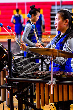 Cab Calloway Drumline_180210_Penncrest-1810