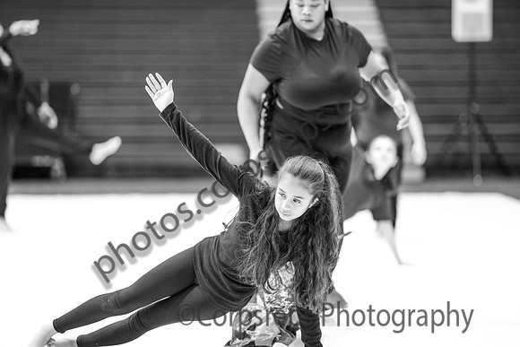 North Plainfield Guard_250208_Council Rock South-01172