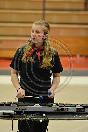 Hunterdon Central Regional Percussion-490