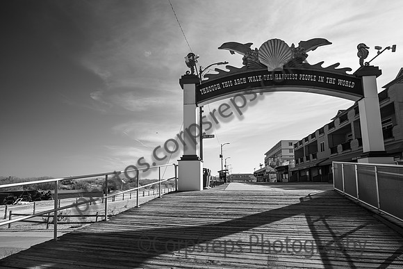 _240501_Wildwood-XX00011