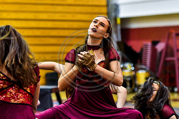Avon Grove Maroon Guard_180317_Avon Grove-3-5