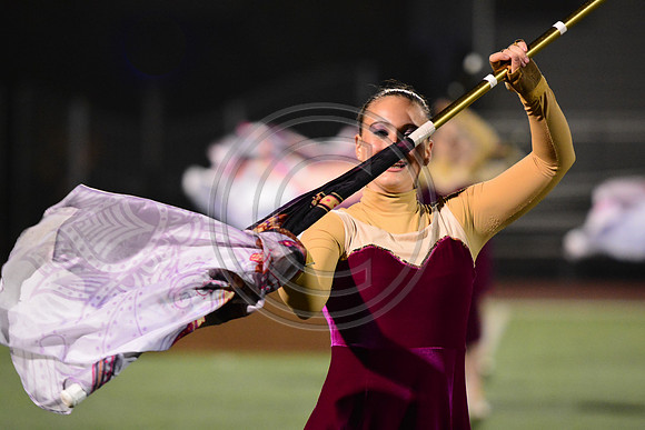 Nazareth Area High School  Blue Eagle-1241