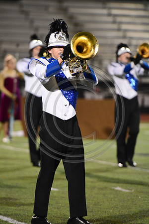 Nazareth Area High School  Blue Eagle-1250