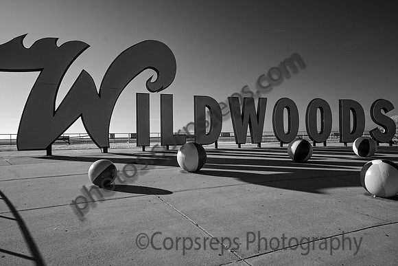 _240502_Wildwood-XX00019