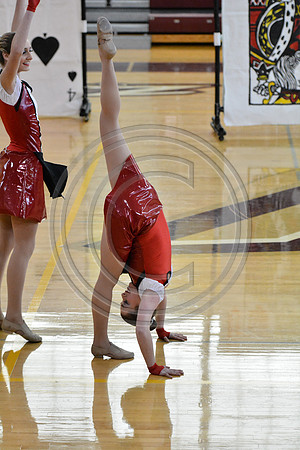 Rhythm in Motion A Dance-307
